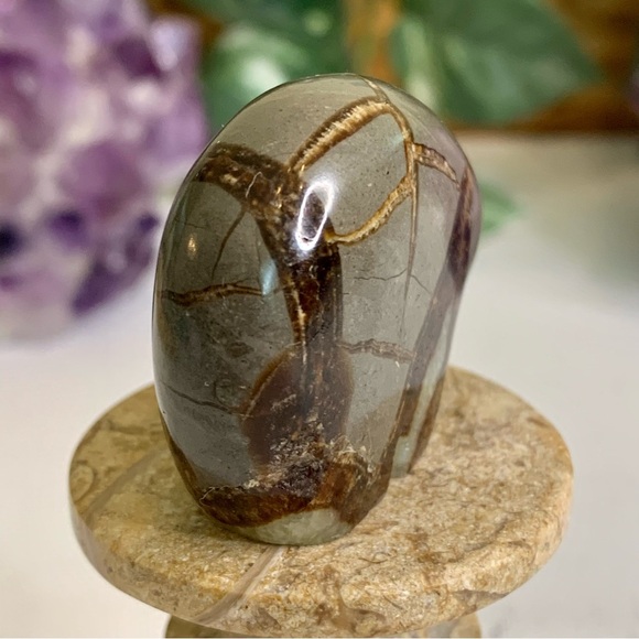 Geode Septarian Nodule Bear Figurine Carved Zuni Style Dragon Stone Carving 2" - Picture 12 of 12